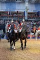 Cavalry - 00181